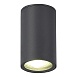 Светильник уличный потолочный ST-Luce серый/белый GU10 1*50W SL9010.712.01 - фото