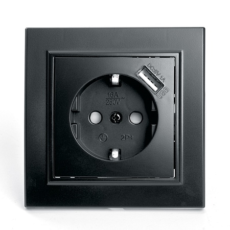 Розетка 1-местная c/з и с USB STEKKER, PST16-9011-03, 250В, 16А, с защитной шторкой, серия Эрна, черный - фото
