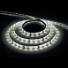 Светодиодная LED лента Feron LS604, 60SMD(2835)/m 4.8W/m 12V IP65 5m, 4000К - фото