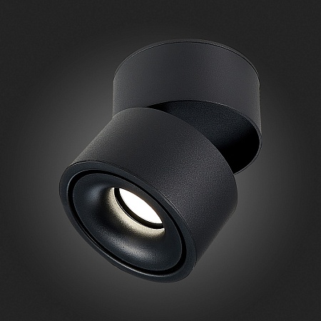Светильник потолочный Черный LED 1*12W 4000K 1 000Lm Ra>90 36° IP20 D100xH105 170-240V ST652.442.12 - фото