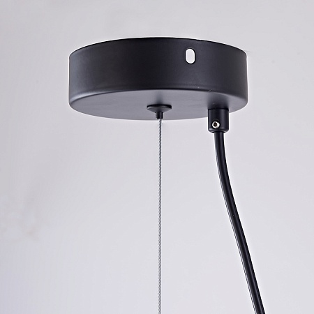 Подвесной Светильник Margott D35 Black Imperiumloft 213908-23 - фото