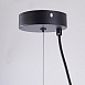 Подвесной Светильник Margott D35 Black Imperiumloft 213908-23 - фото