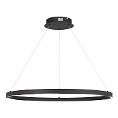 Светильник подвесной ST-Luce черный/черный LED 1*43W 4000K SL6238.443.01