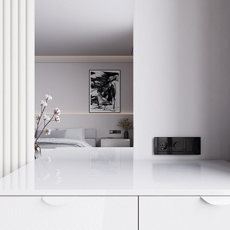 Диммер (черный акрил) W1142048 - фото