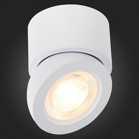 Светильник потолочный Белый LED 1*10W 3000K 850Lm Ra>90 38° IP20 D95xH96 180-240V ST654.532.10 - фото
