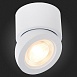 Светильник потолочный Белый LED 1*10W 3000K 850Lm Ra>90 38° IP20 D95xH96 180-240V ST654.532.10 - фото