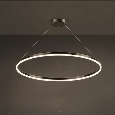 Кольцевая Люстра Cruise One Lux D80 Imperiumloft 204622-23 - фото