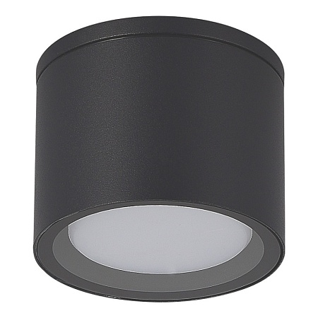 Светильник уличный потолочный ST-Luce серый/белый GX53 1*9W SL9006.702.01 - фото