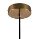 Подвесной светильник Freya Zelma FR8012PL-01BS - фото