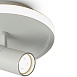 Потолочный светильник Freya FR6040CL-L14W - фото