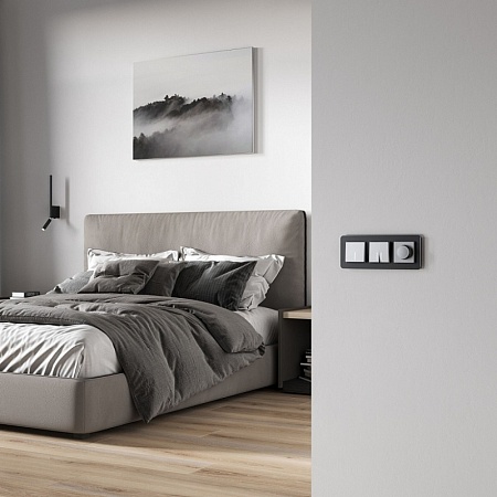 Выключатель одноклавишный проходной с подсветкой (серебряный матовый) W1112165 - фото