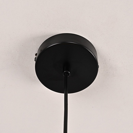 Подвесной Светильник Hoop Drop Black Imperiumloft 213738-26 - фото