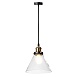 LOFT1123 Подвесной светильник LOFT IT Factory filament - фото