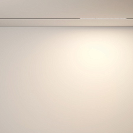 Трековый светильник Technical Parete TR106-2-18W3K-B - фото