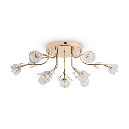 Люстра Freya FR5571CL-09G - фото