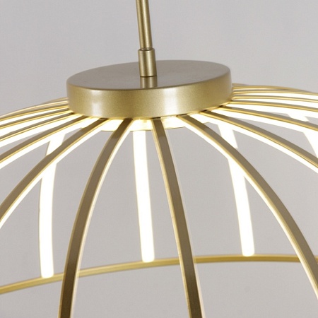 Подвесная люстра Favourite 4286-6P - фото