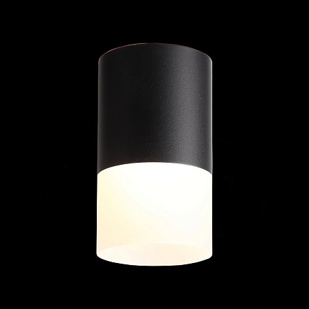 Светильник потолочный Черный LED 1*10W 3000K 780Lm Ra>80 120° D78xH135 170-240VV ST100.402.10 - фото