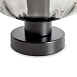 Настольный светильник Freya FR5585TL-01B - фото