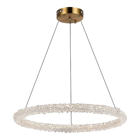 Люстра подвесная ST-Luce Золотистый/Золотистый LED 1*35W 3000 - 6500K SL6110.213.01 - фото