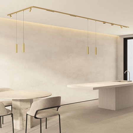 Светильник на шине Denkirs SHINE SPOT DK5740-SB - фото