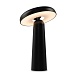 Аккумуляторный светильник Freya FR6109TL-L4B - фото