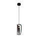 Подвесной светильник Freya Idol FR6134PL-L4SM - фото