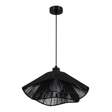 Светильник подвесной черный/черный E27 1*40W SLE6023-403-01 - фото