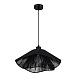 Светильник подвесной черный/черный E27 1*40W SLE6023-403-01 - фото