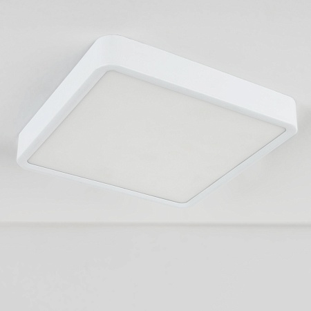 Накладной потолочный светодиодный светильник DLS034 18W 4200K Elektrostandard - фото