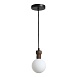 Светильник подвесной ST-Luce Черный/Белый G9 1*5W 4000K SL6226.403.01 - фото