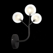 Бра ST-Luce Черный/Прозрачный, Белый G4 LED 3*2W - SL376.401.03