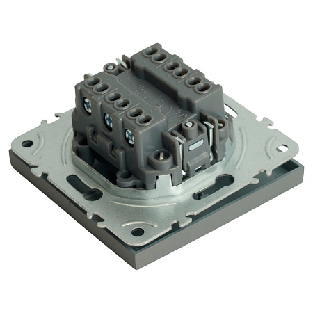 Переключатель 2-клавишный (механизм), STEKKER, 250В, 10А, серия Эмили, RSW10-5107-10, платиново-серый, soft touch - фото