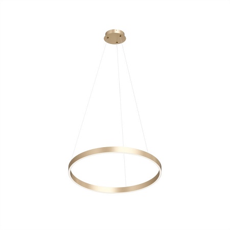 Потолочный подвесной светильник Denkirs DK6273-SG - фото