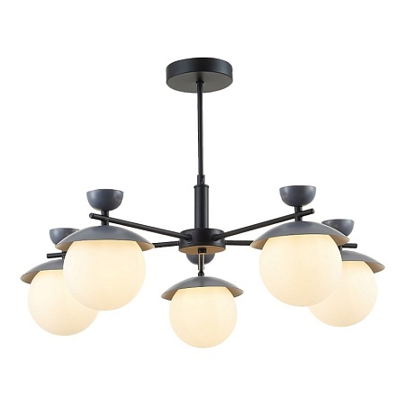 Светильник потолочный Черный, Серый/Белый G9 5*5W SLE220202-05 - фото