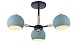 Потолочный светильник Freya Trisha FR5032CL-03B - фото