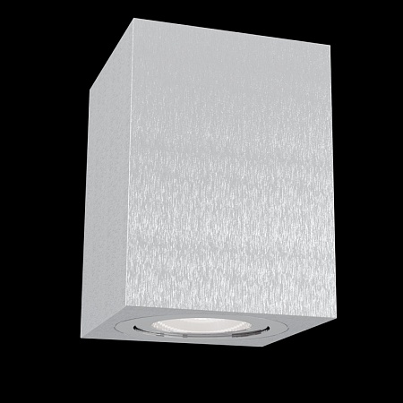 Потолочный светильник Technical C017CL-01S - фото