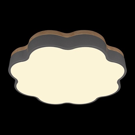 10225/36 Grey Потолочный светильник LOFT IT Axel - фото