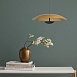Светильник подвесной ST-Luce Золотистый,Черный/Золотистый LED 1*35W 3000K SL6502.203.01 - фото