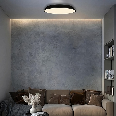 10226 Black Потолочный светильник LOFT IT Brim - фото