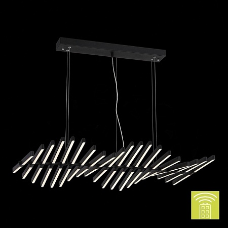 Люстра подвесная ST-Luce Черный/Черный, Белый LED 20*5W 3000-6000K SLD001.403.20 - фото