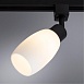 Трековый светильник Arte Lamp MIIA A3055PL-1BK - фото