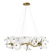 10352/1050 AB Подвесной светильник LOFT IT Bloom - фото