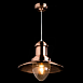 Подвесной светильник Arte Lamp FISHERMAN A5530SP-1RB - фото