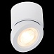 Светильник потолочный Белый LED 1*10W 3000K 850Lm Ra>90 38° IP20 D95xH96 180-240V ST654.532.10 - фото