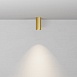 Потолочный светильник Technical C010CL-01MG-N - фото