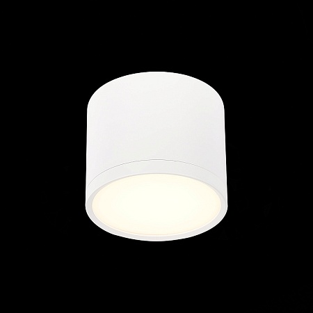 Светильник потолочный Белый LED 1*9W 3000K 702Lm Ra>90 120° IP20 D88xH75 170-240V ST113.532.09 - фото