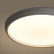 Потолочный светильник Freya FR6211CL-L24W - фото