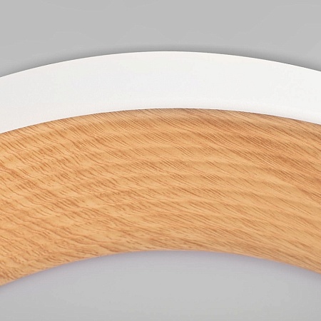 10255/500 White Потолочный светильник LOFT IT Folk - фото