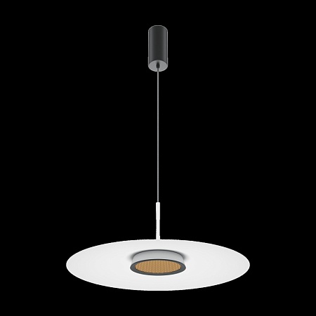 Подвесной светильник Maytoni El MOD041PL-L15W3K1 - фото