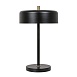 Декоративная настольная лампа Arte Lamp SKAT A7052LT-2BK - фото